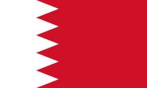 flag 400